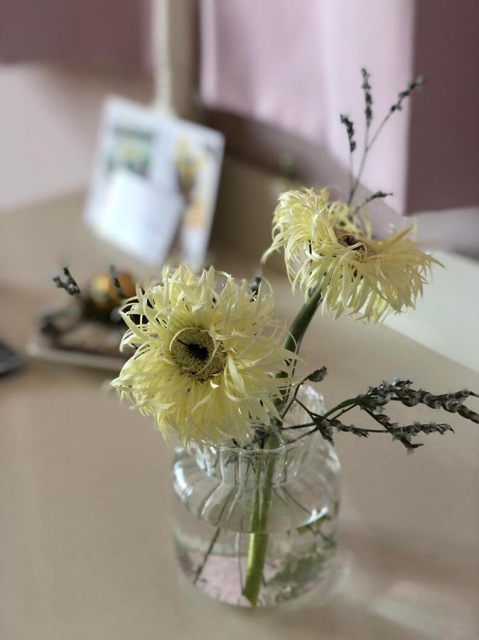 卡布-花藝小民宿 Taitung Floral B&B Exterior photo